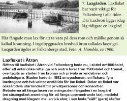 Ur broschyren "Gångstråk i Falkenberg"