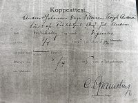 1905 A_J_V_P-Vacinationsattest